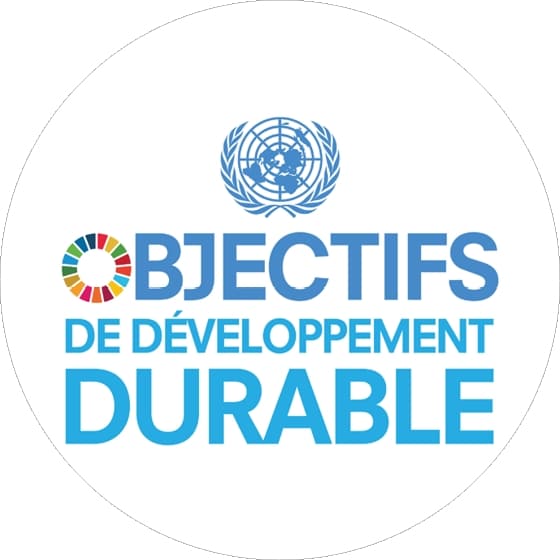 Logo des Objectifs du Développement Durable de l'ONU